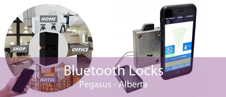Bluetooth Locks Pegasus - Alberta