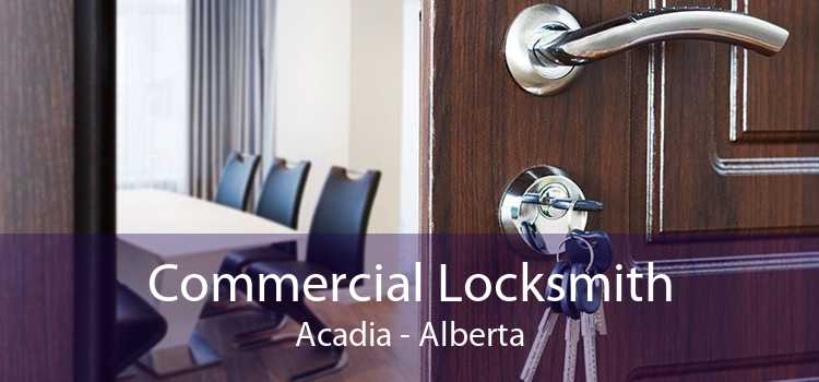 Commercial Locksmith Acadia - Alberta