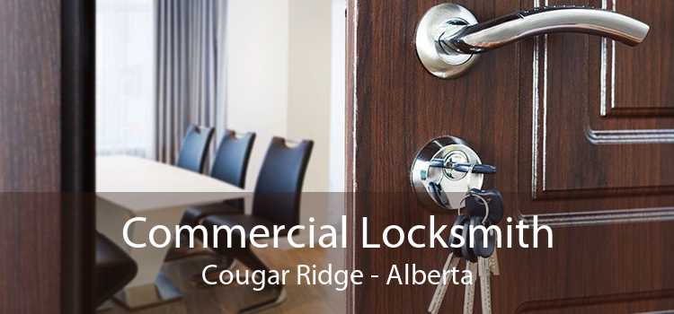 Commercial Locksmith Cougar Ridge - Alberta