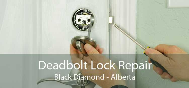 Deadbolt Lock Repair Black Diamond - Alberta