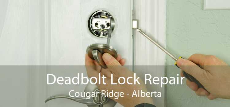 Deadbolt Lock Repair Cougar Ridge - Alberta
