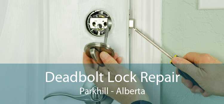Deadbolt Lock Repair Parkhill - Alberta