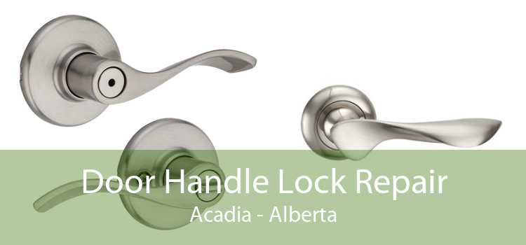 Door Handle Lock Repair Acadia - Alberta