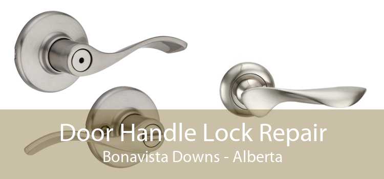 Door Handle Lock Repair Bonavista Downs - Alberta