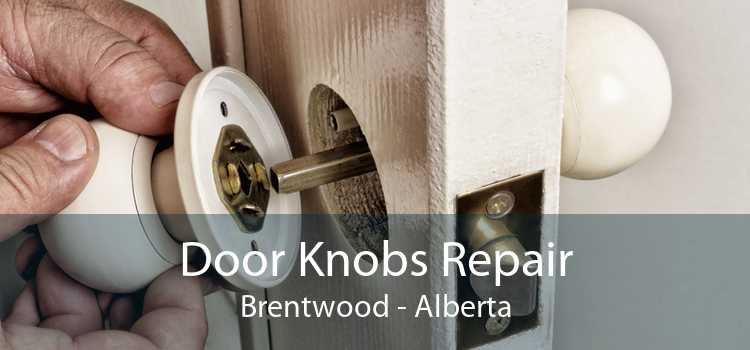 Door Knobs Repair Brentwood - Alberta
