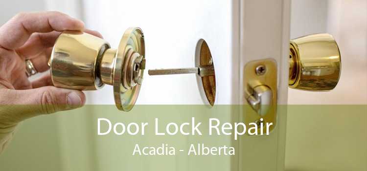 Door Lock Repair Acadia - Alberta