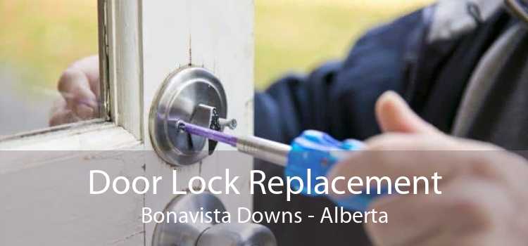 Door Lock Replacement Bonavista Downs - Alberta