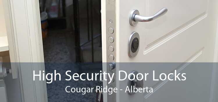 High Security Door Locks Cougar Ridge - Alberta