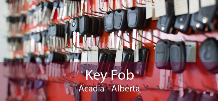 Key Fob Acadia - Alberta