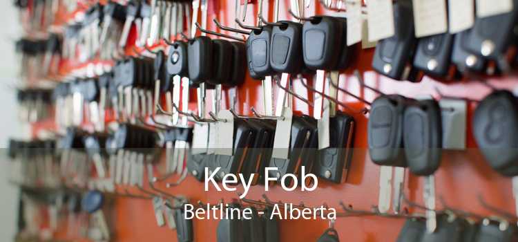 Key Fob Beltline - Alberta