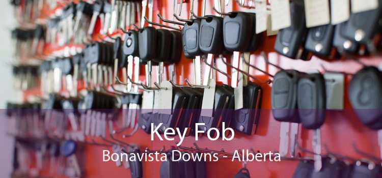 Key Fob Bonavista Downs - Alberta