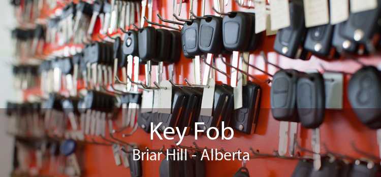 Key Fob Briar Hill - Alberta
