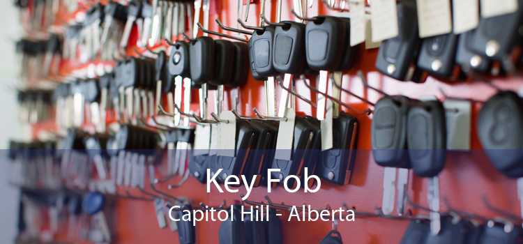 Key Fob Capitol Hill - Alberta