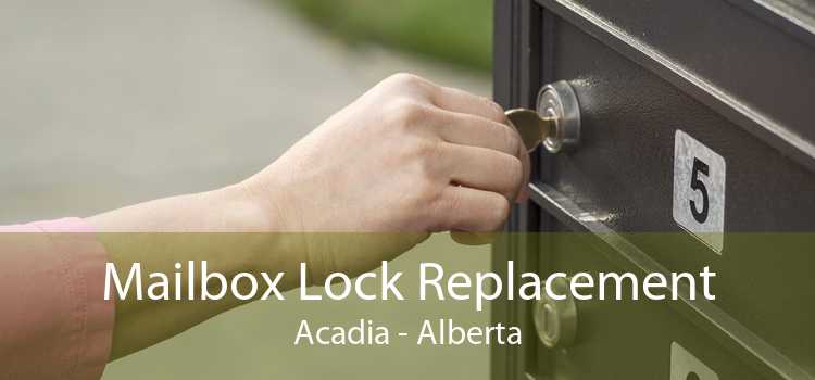 Mailbox Lock Replacement Acadia - Alberta