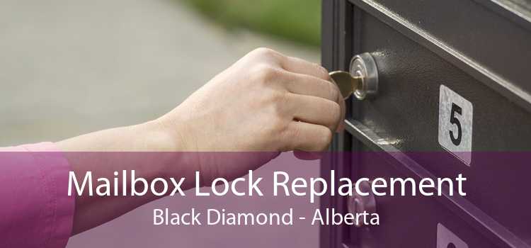 Mailbox Lock Replacement Black Diamond - Alberta