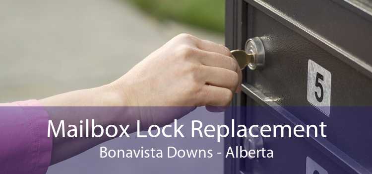 Mailbox Lock Replacement Bonavista Downs - Alberta