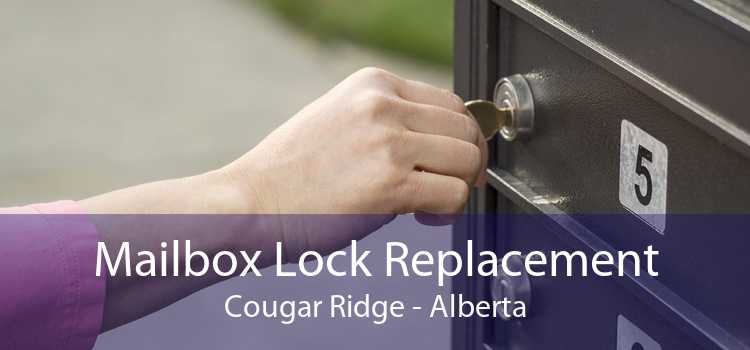 Mailbox Lock Replacement Cougar Ridge - Alberta