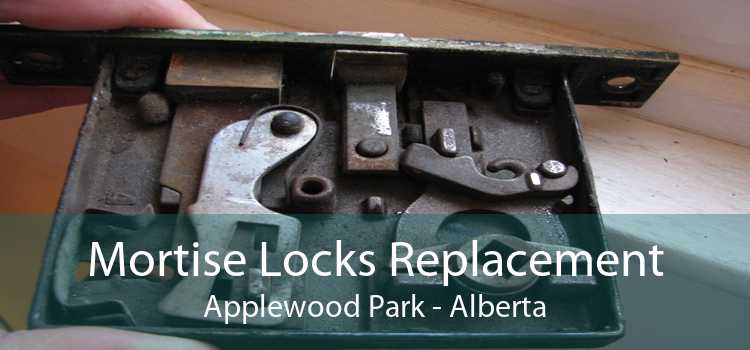 Mortise Locks Replacement Applewood Park - Alberta