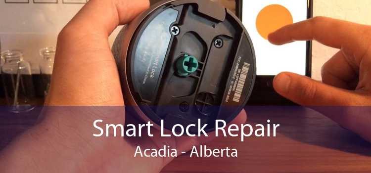 Smart Lock Repair Acadia - Alberta