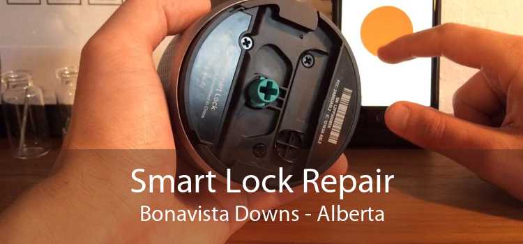 Smart Lock Repair Bonavista Downs - Alberta